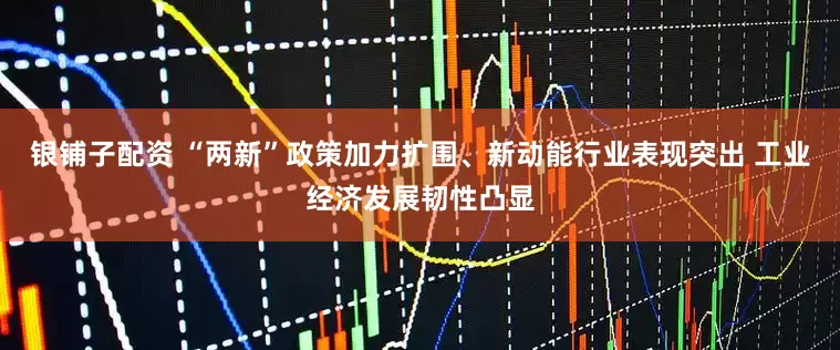 银铺子配资 “两新”政策加力扩围、新动能行业表现突出 工业经济发展韧性凸显